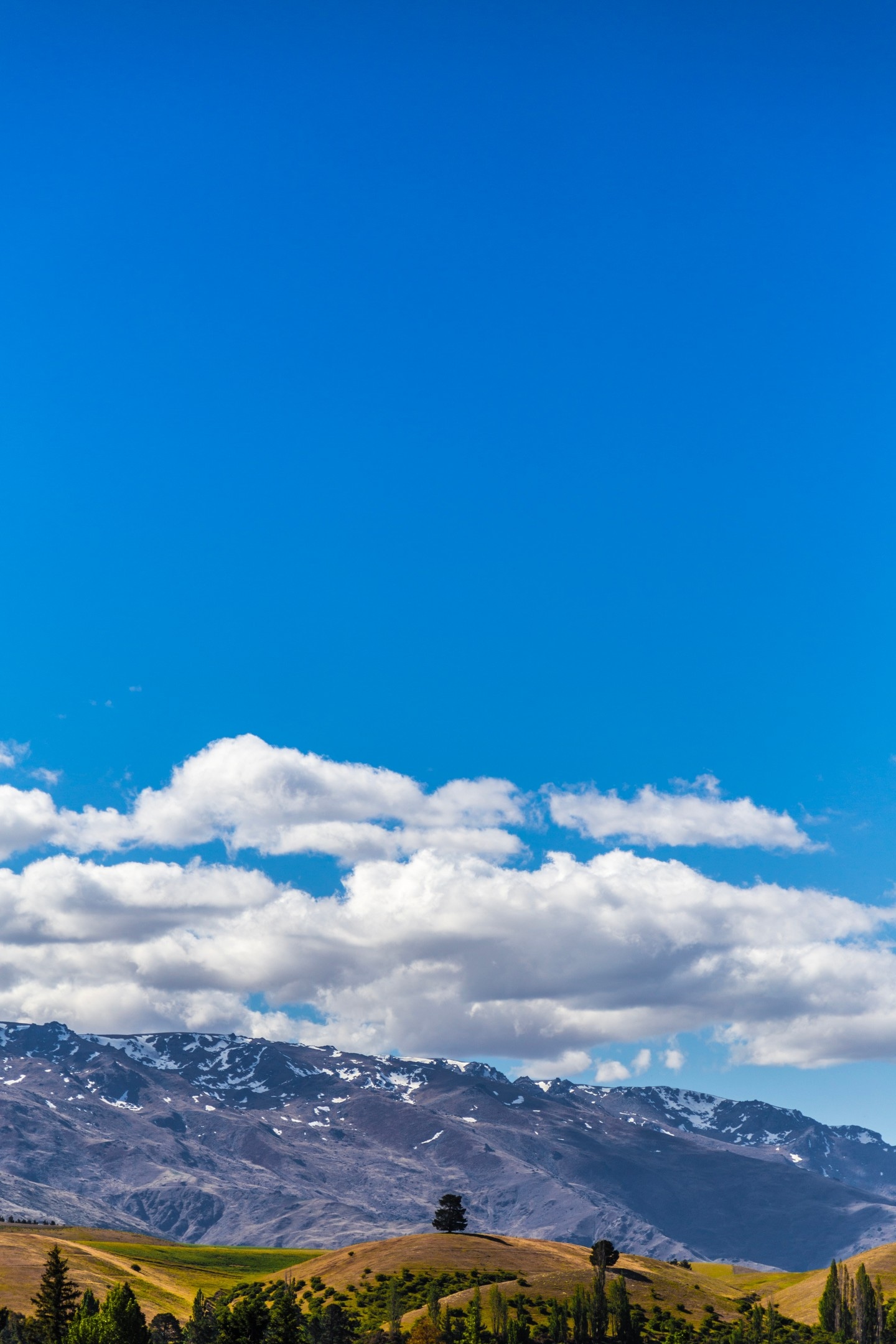 A single tree sits atop a small grass covered hill, with harsh rocky mountains rising up behind. The blue sky which takes up most of the scene adds a beautiful counterbalance to the landscape image — South Island, New Zealand
