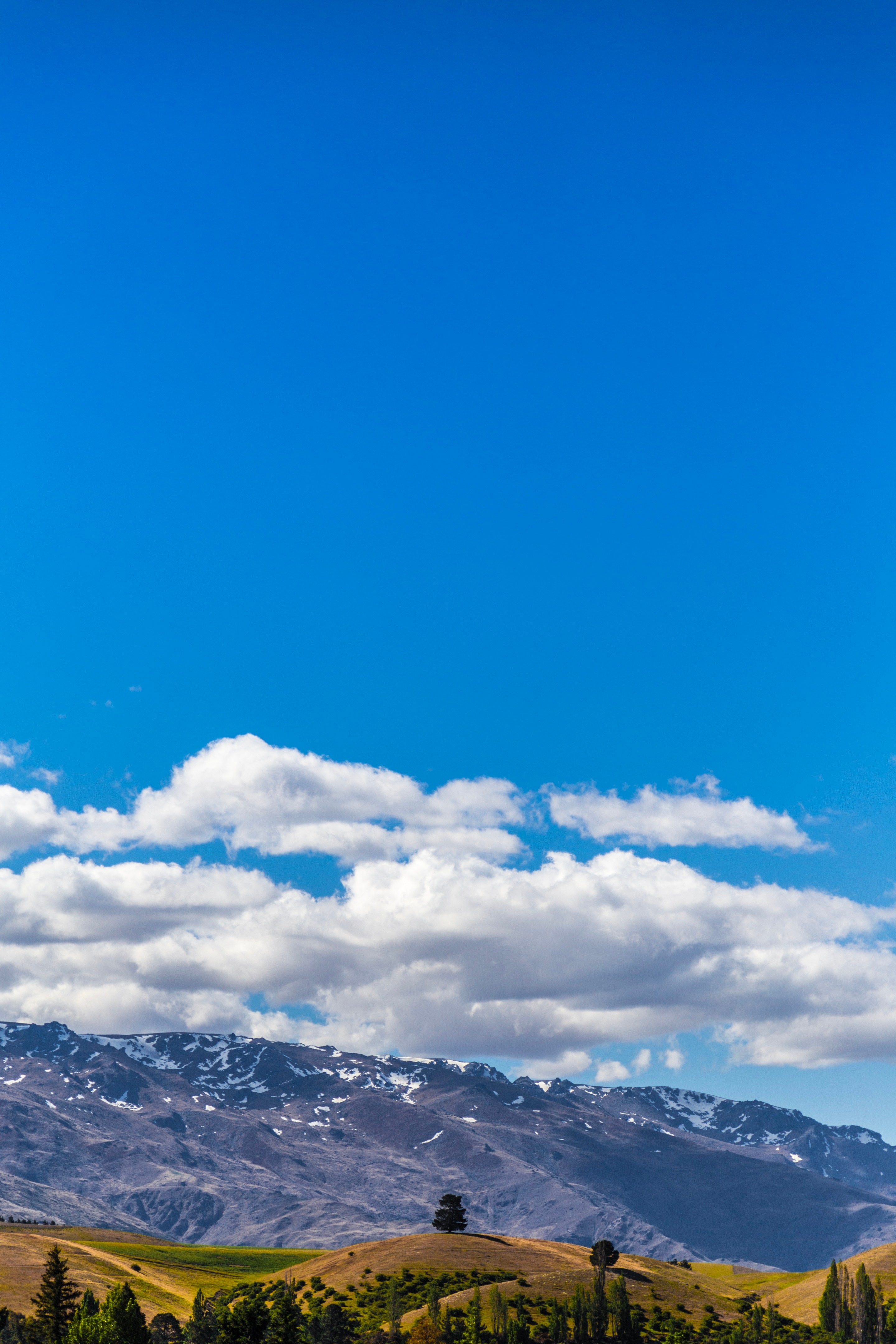 A single tree sits atop a small grass covered hill, with harsh rocky mountains rising up behind. The blue sky which takes up most of the scene adds a beautiful counterbalance to the landscape image — South Island, New Zealand