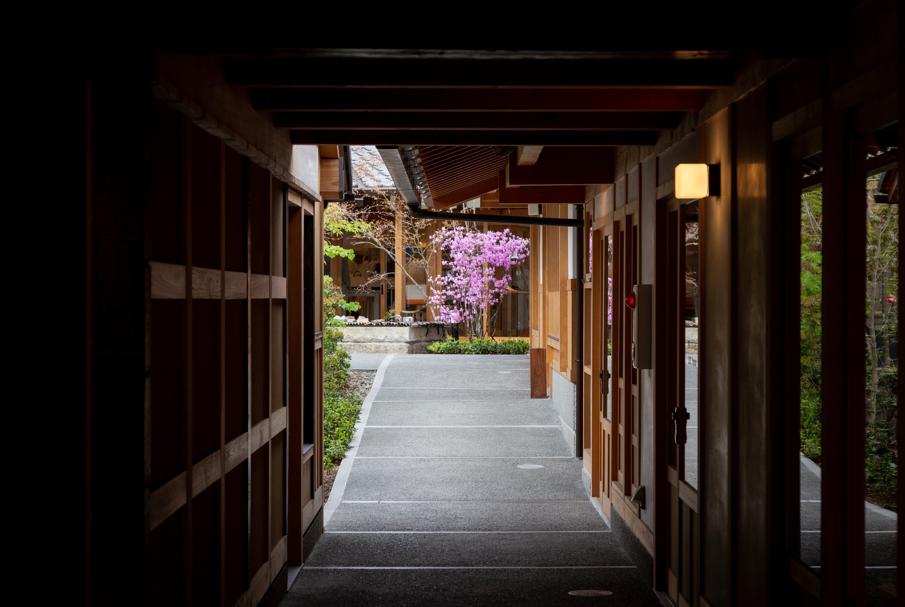 A dark covered alleyway past a few shops leads the eye down a straight path to a courtyard garden, and a tree in blossom with bright pink flowers A bronze cat figure sits on a stone birdbath's rim holding a fishing rod, and a caught fish — Kurashiki Town, Okayama Prefecture, Japan