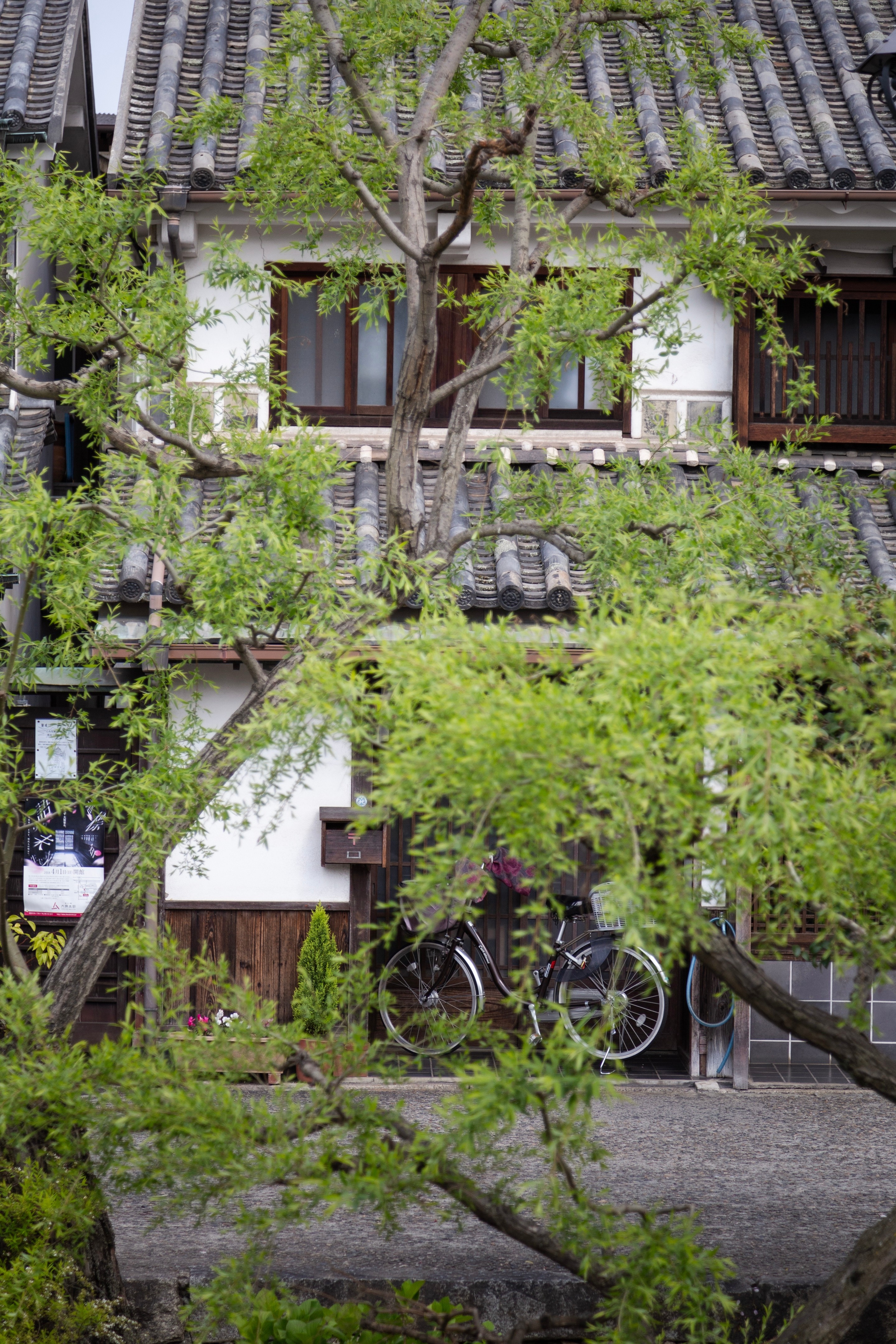 Closer perspective on a stone canal lined with willow trees, through which can be seen traditional merchant shops, residential buildings and a bicycling in a doorway — Kurashiki Town, Okayama Prefecture, Japan