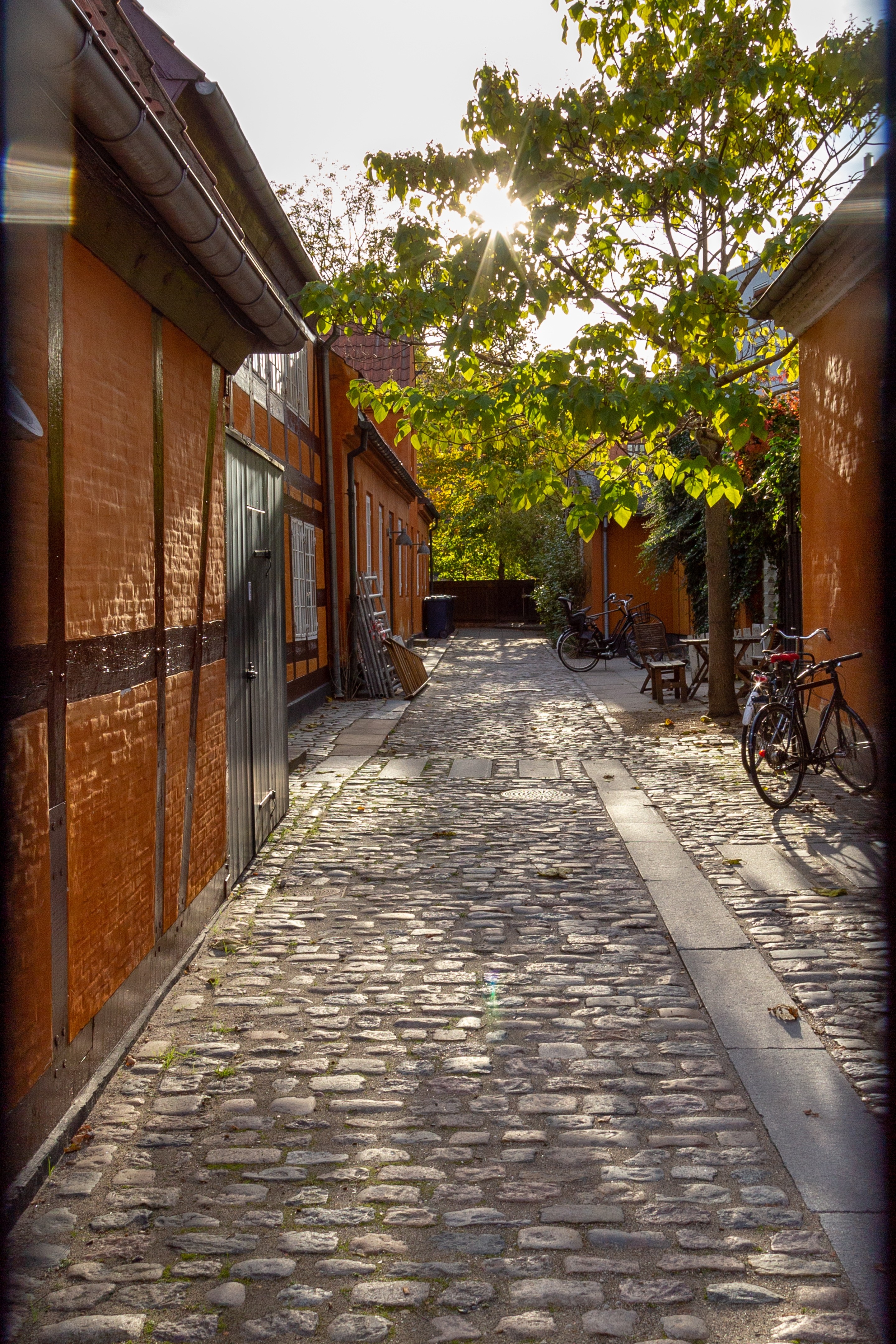 Dappled light filters through the leaves of a tree onto a serene cobbled alley. The walls of the buildings to the sides are orange and add lovely contrast and colour to the scene. At the very edge of the frame the bars of the gate, through which the photo was taken, fade into view. Copenhagen, Denmark.