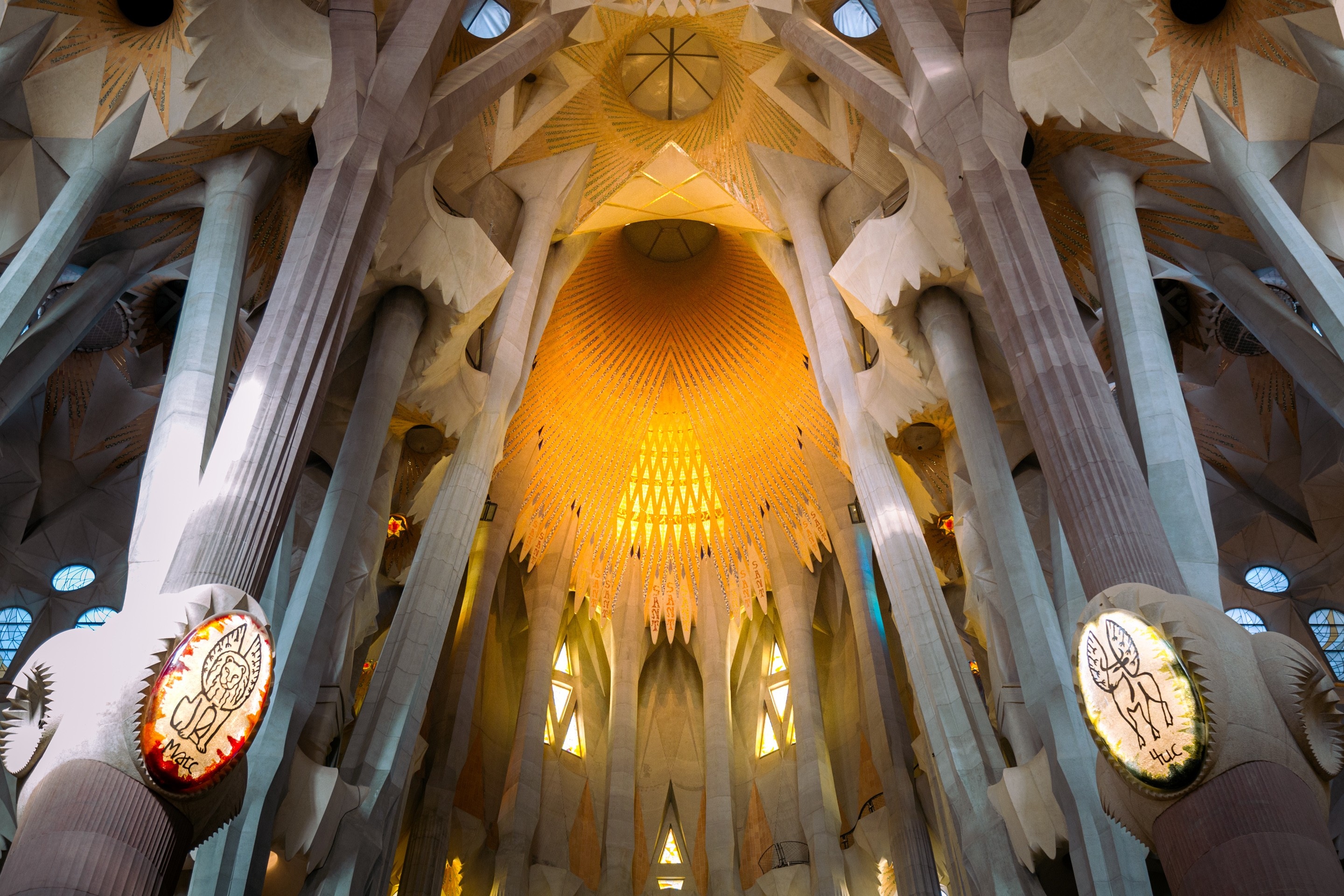Showing the interior roof and huge columns rising up to meet it. La Sagrada Familia.