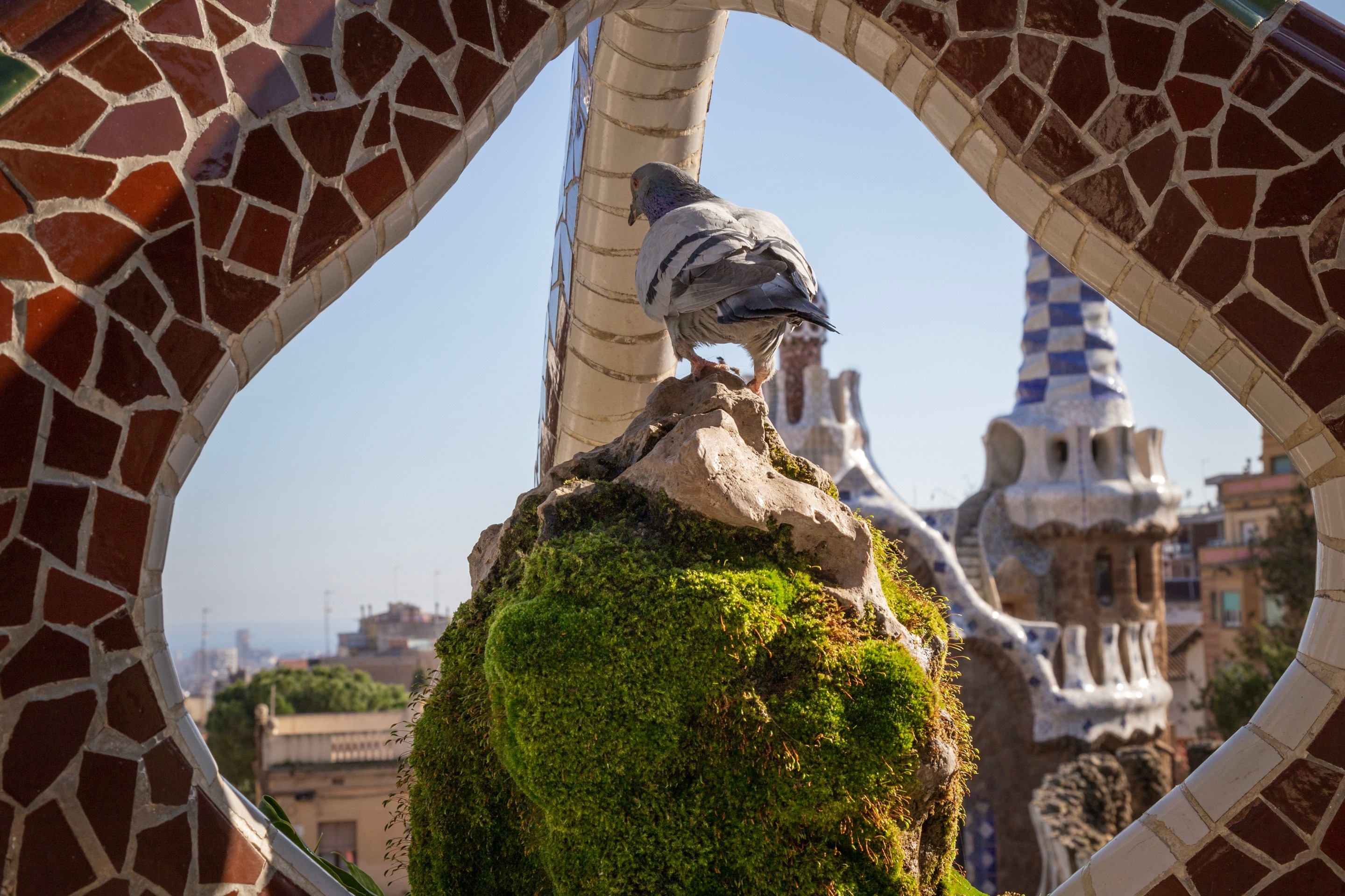 A pigeon sitting inside of the mosaic sculptures in the foreground, with the tiled entrance tower in the background. Parc Guell, Barcelona.