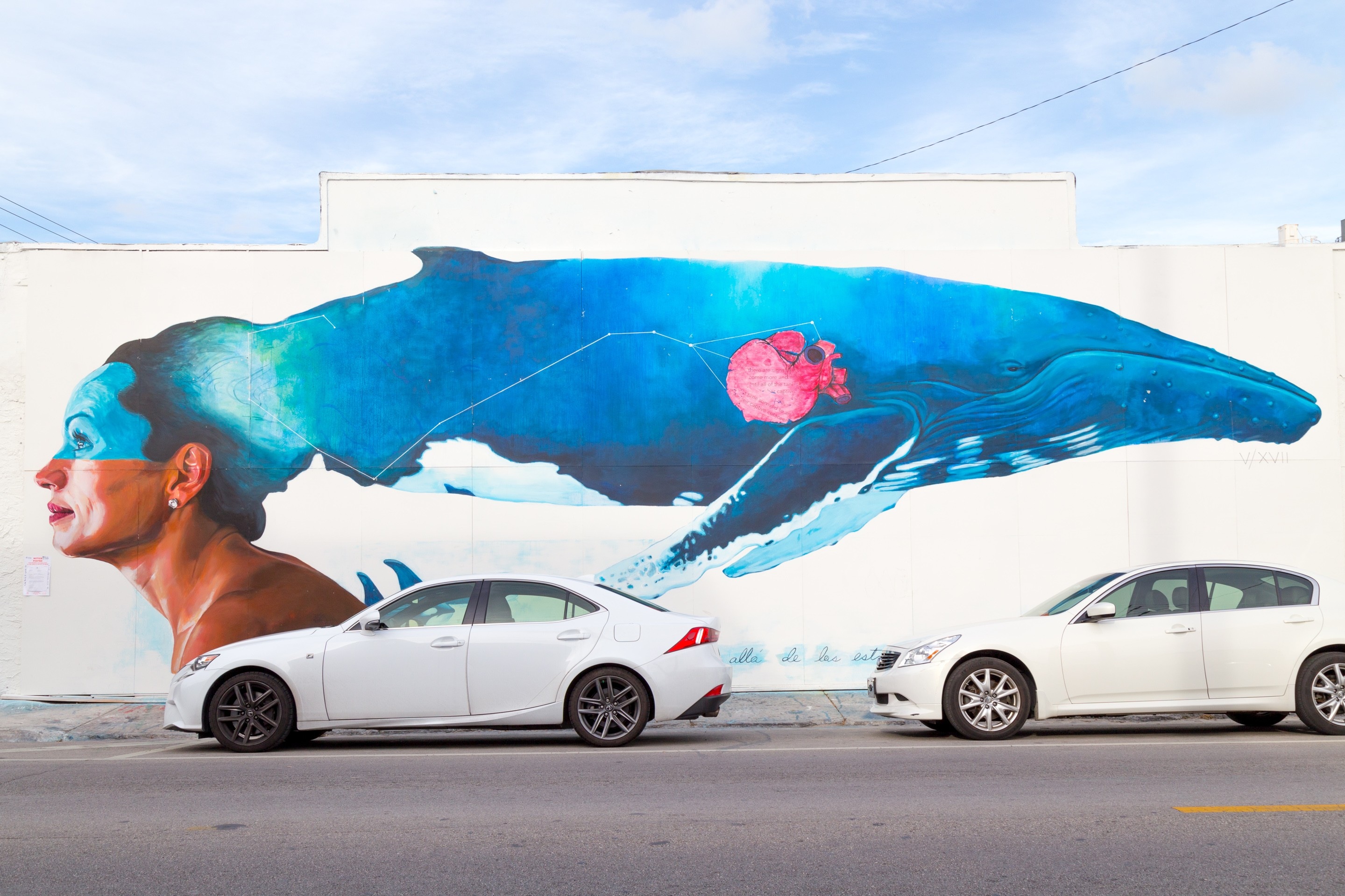 Street art depicting a blue whale morphing out of a person's head. Painted onto a white wall, in which two white cars are parked in front. Miami, Florida, USA