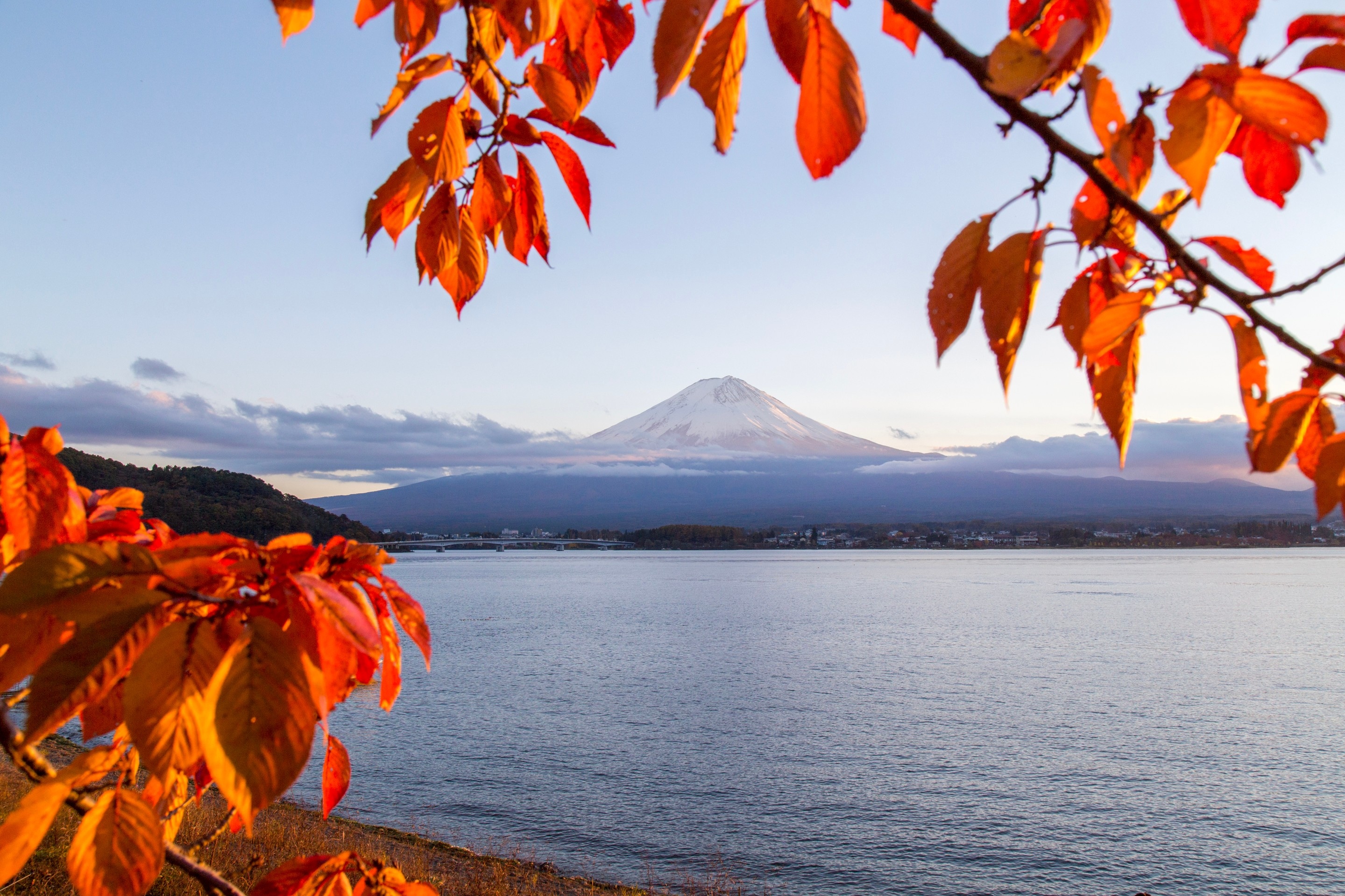 An autumn scene of Mount Fuji framed by red leaves illuminated by the setting sun. Fuji seemingly rises up out of Lake Kawaguchi — Yamanashi Prefecture, Japan