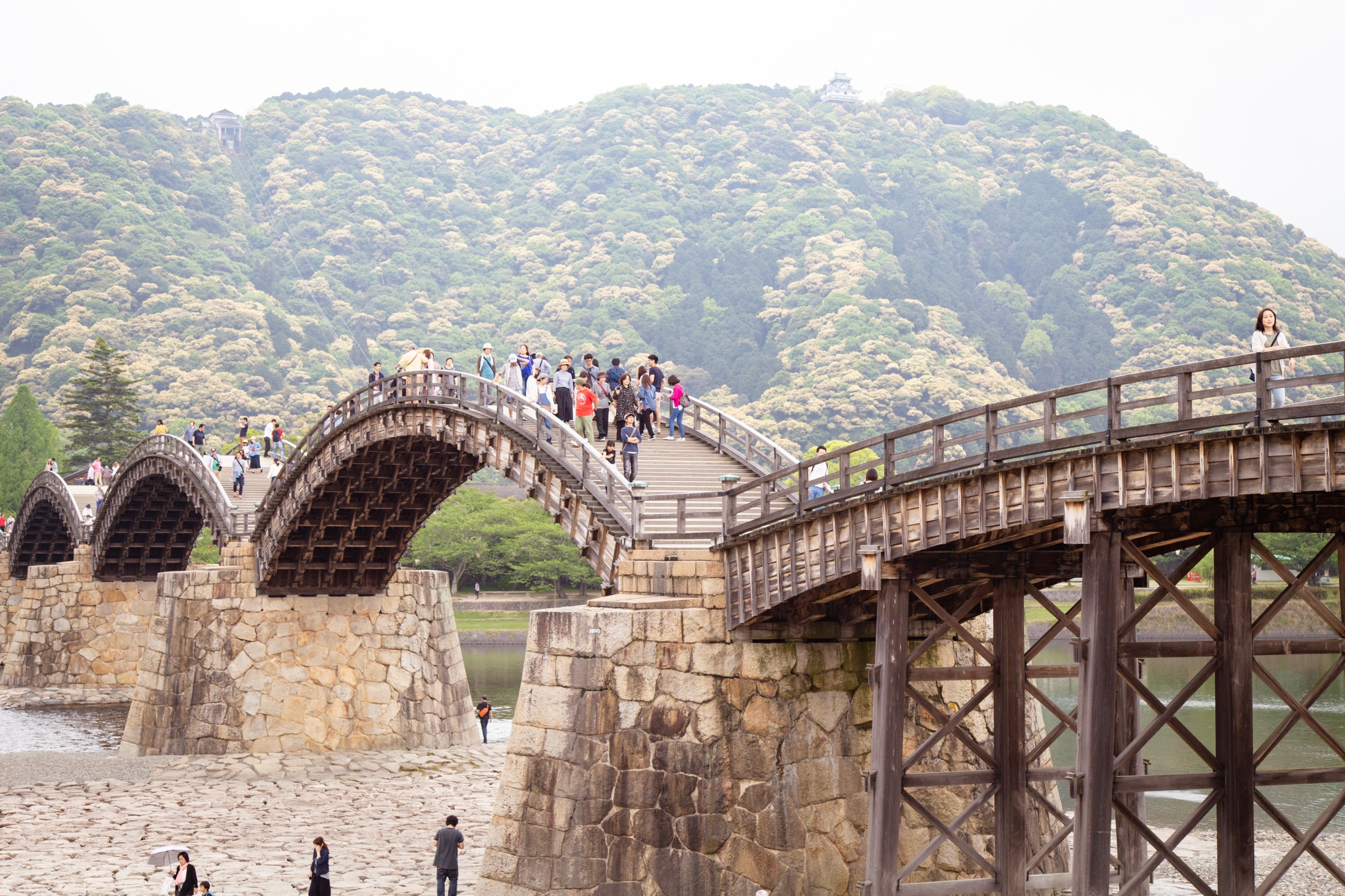Side angle shot of the arches of the Kinyaikyo Bridge in the background. Iwakuni City, Yamaguchi Prefecture.