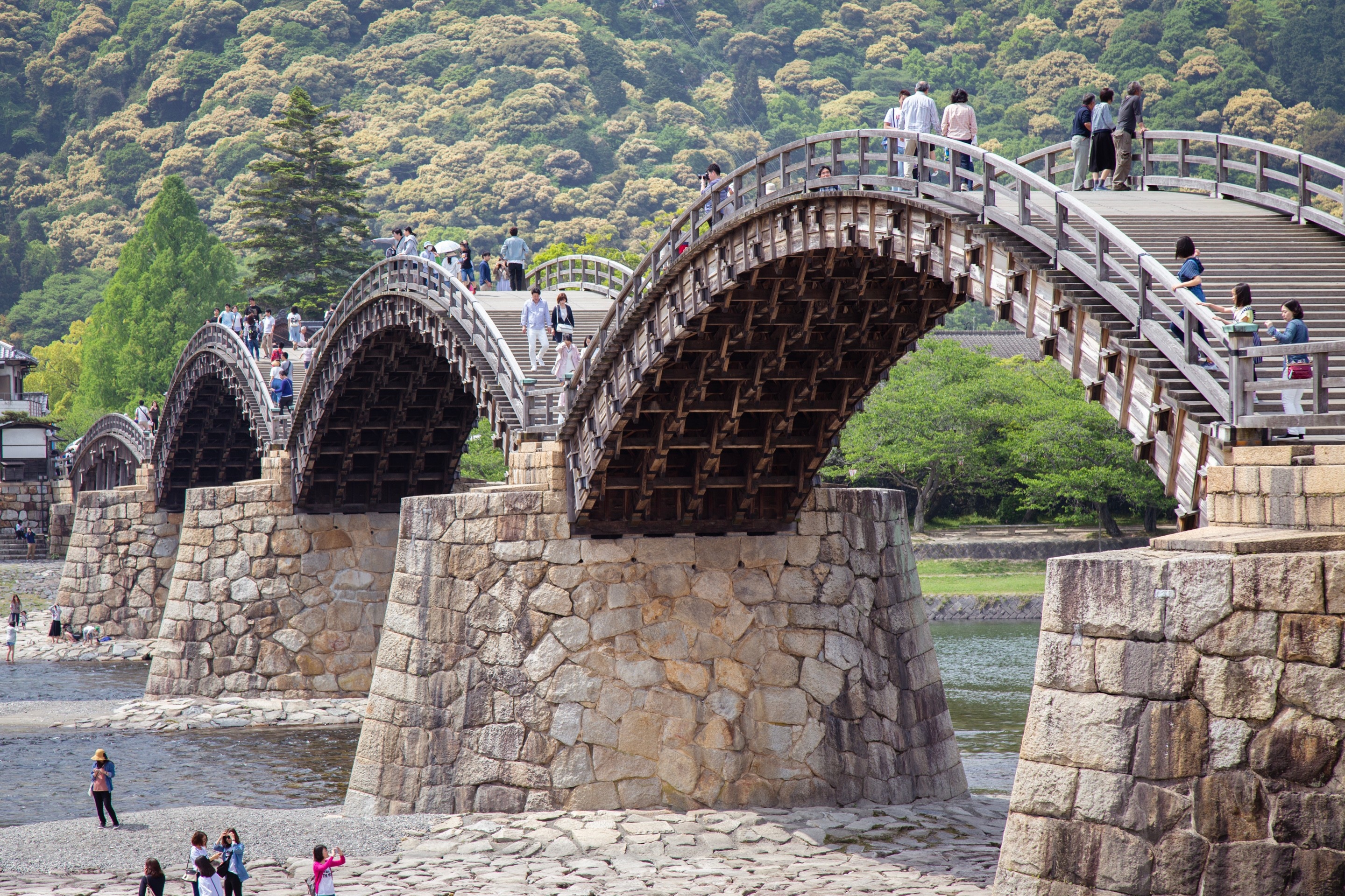 Side angle shot of the arches of the Kinyaikyo Bridge in the background. Iwakuni City, Yamaguchi Prefecture.
