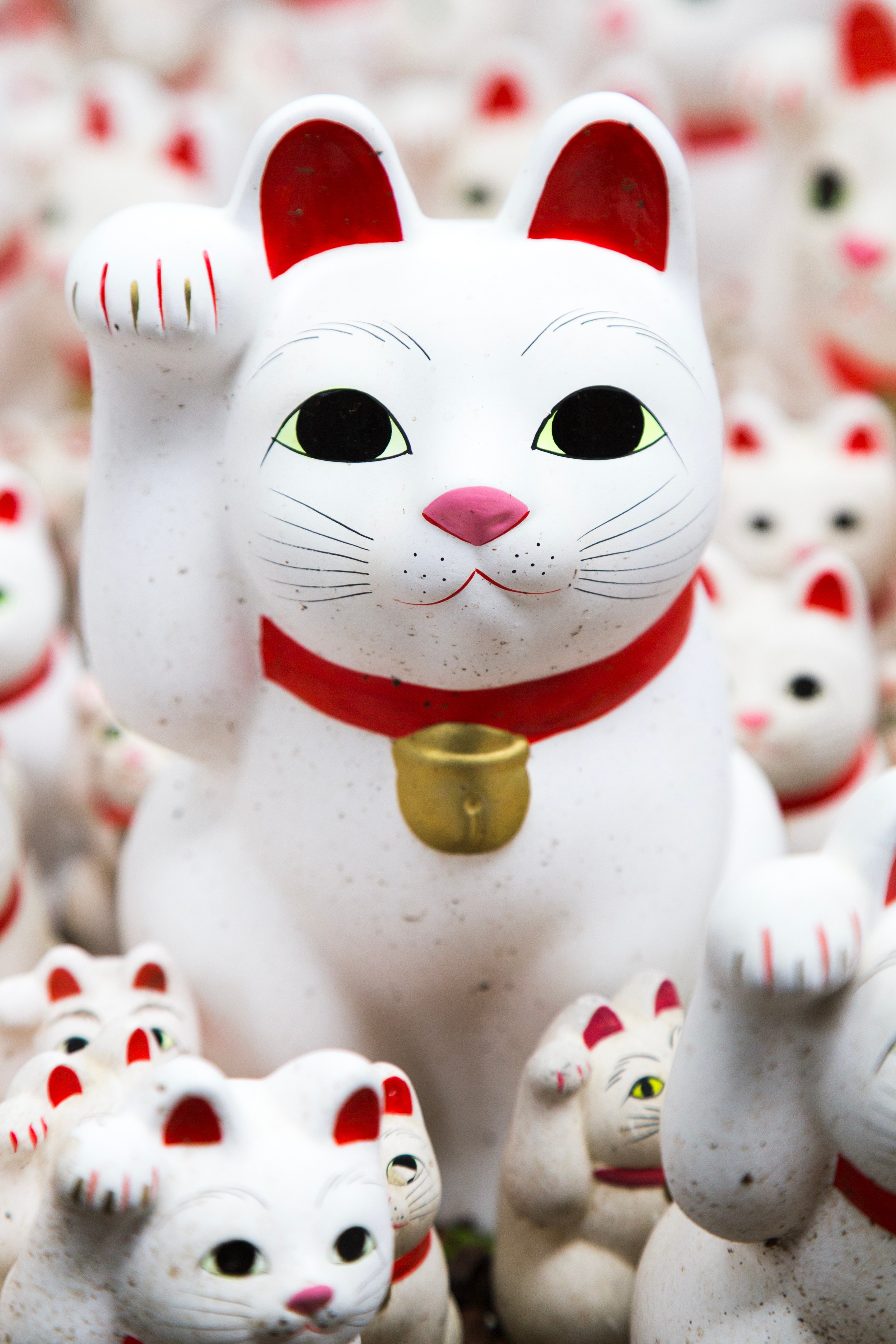 A maneki-neko, or beckoning cat, at Gotokuji Temple — famous for having thousands of these ceramic figurines adorning the grounds — Setagaya, Tokyo, Japan