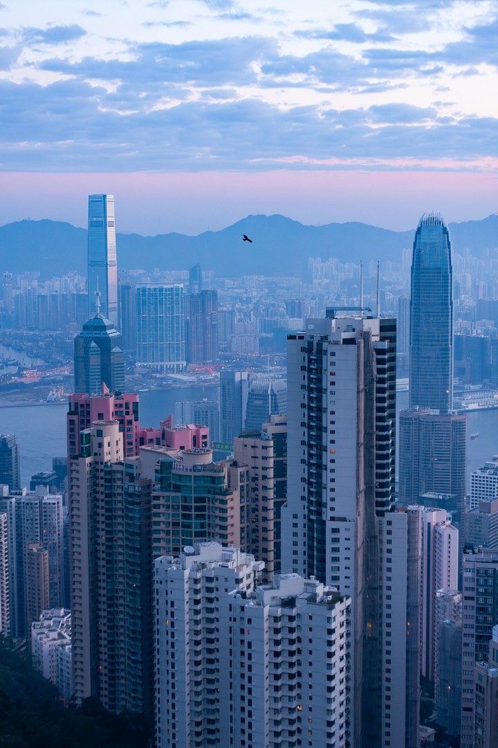 Skyscapers at dawn with a single silouette of a black eagle circling above the buildings. The colours of the morning are beautiful blues, lilacs and soft pinkts — Kowloon, Hong Kong