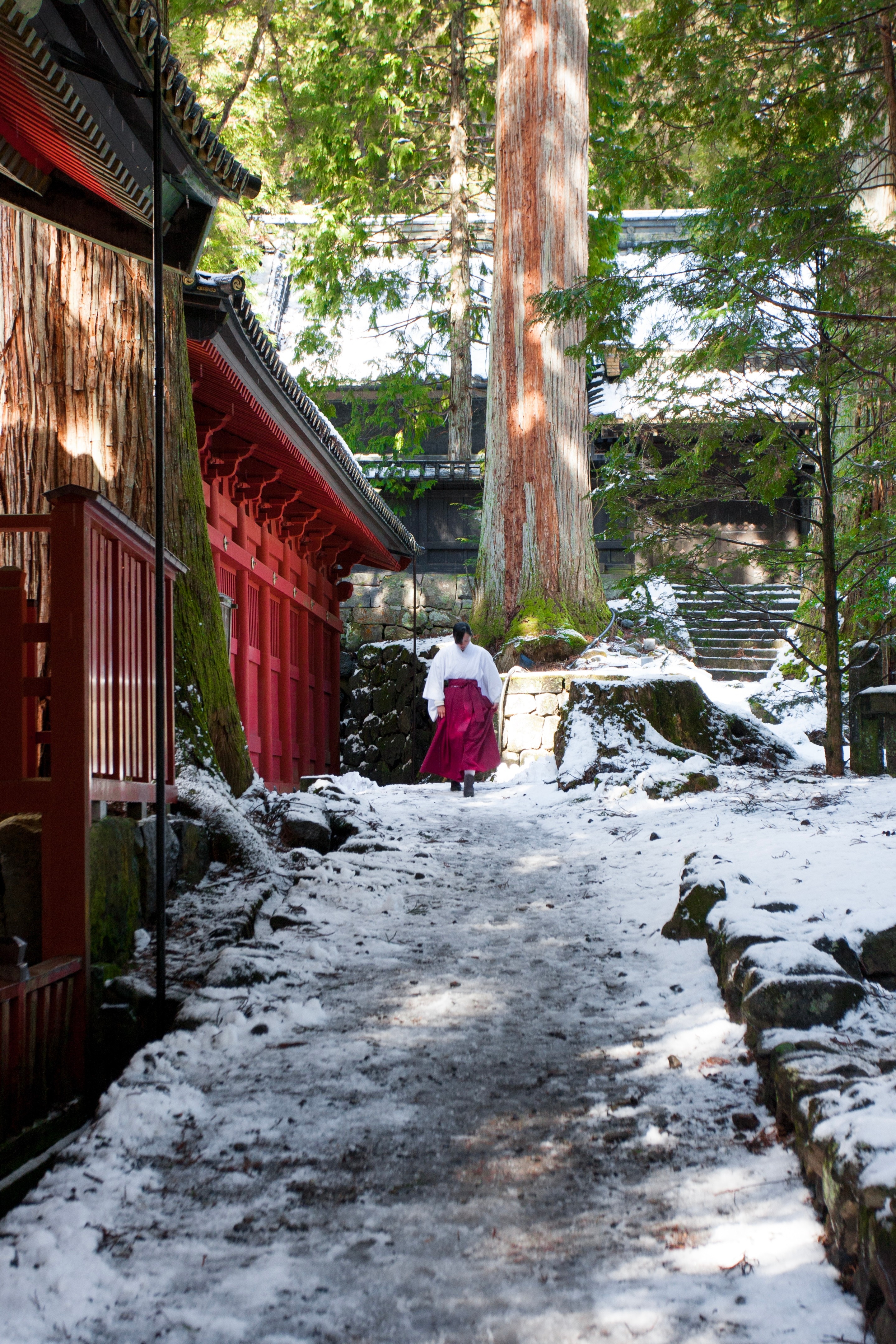 A female priest walks towards the camera, head down, wearing traditional dress. The path in front of her is covered in snow. Taken at Tosho-gu Shinto shrine — Nikko, Tochigi Prefecture, Japan
