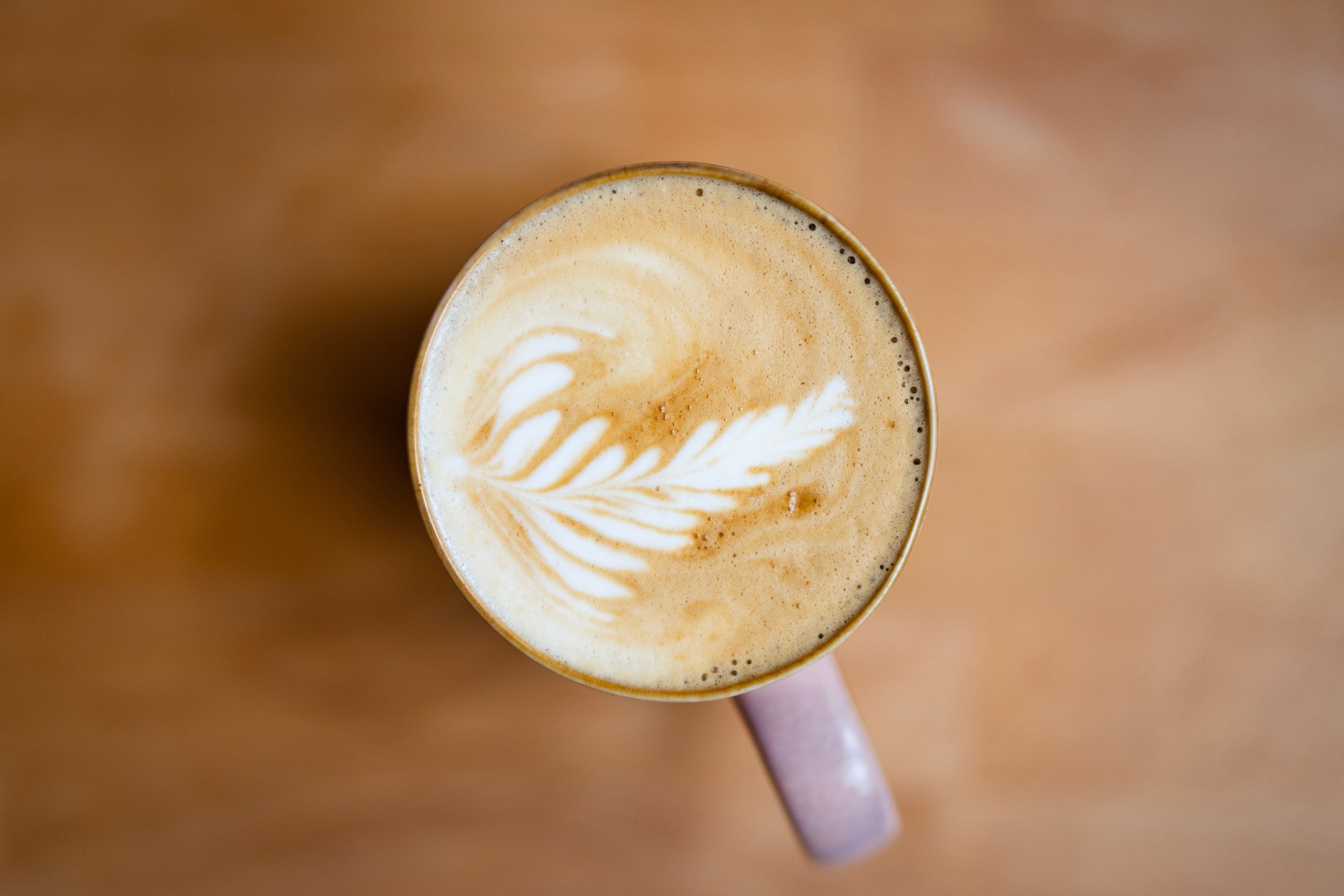 A microfoam latte art fern on a flat white coffee, in a pink coloured ceramic mug with very shallow depth of field, making the wooden table below a silky blur — Tunbridge Wells, Kent, United Kingdom