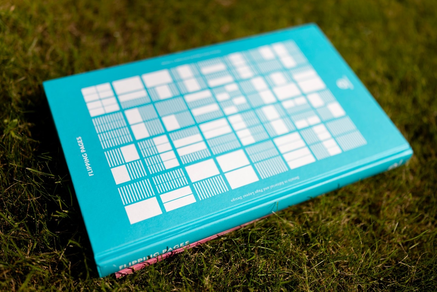 Photo of the book "Flipping Pages — Details in Editorial and Page Layout Design by Huang Weiming" taken in the afternoon sun with the book laid on cut rye grass