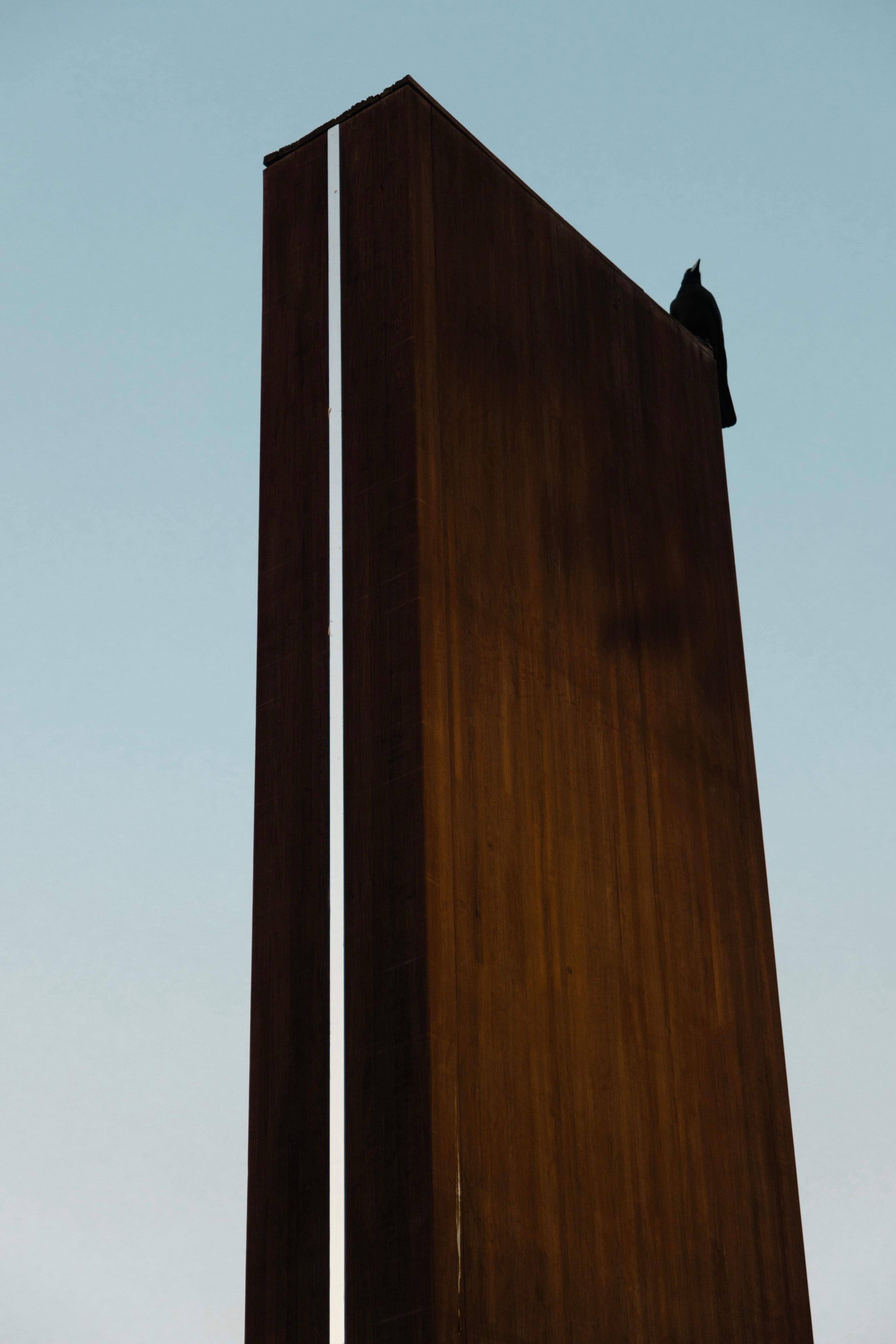 Single karasu on iron sculpture