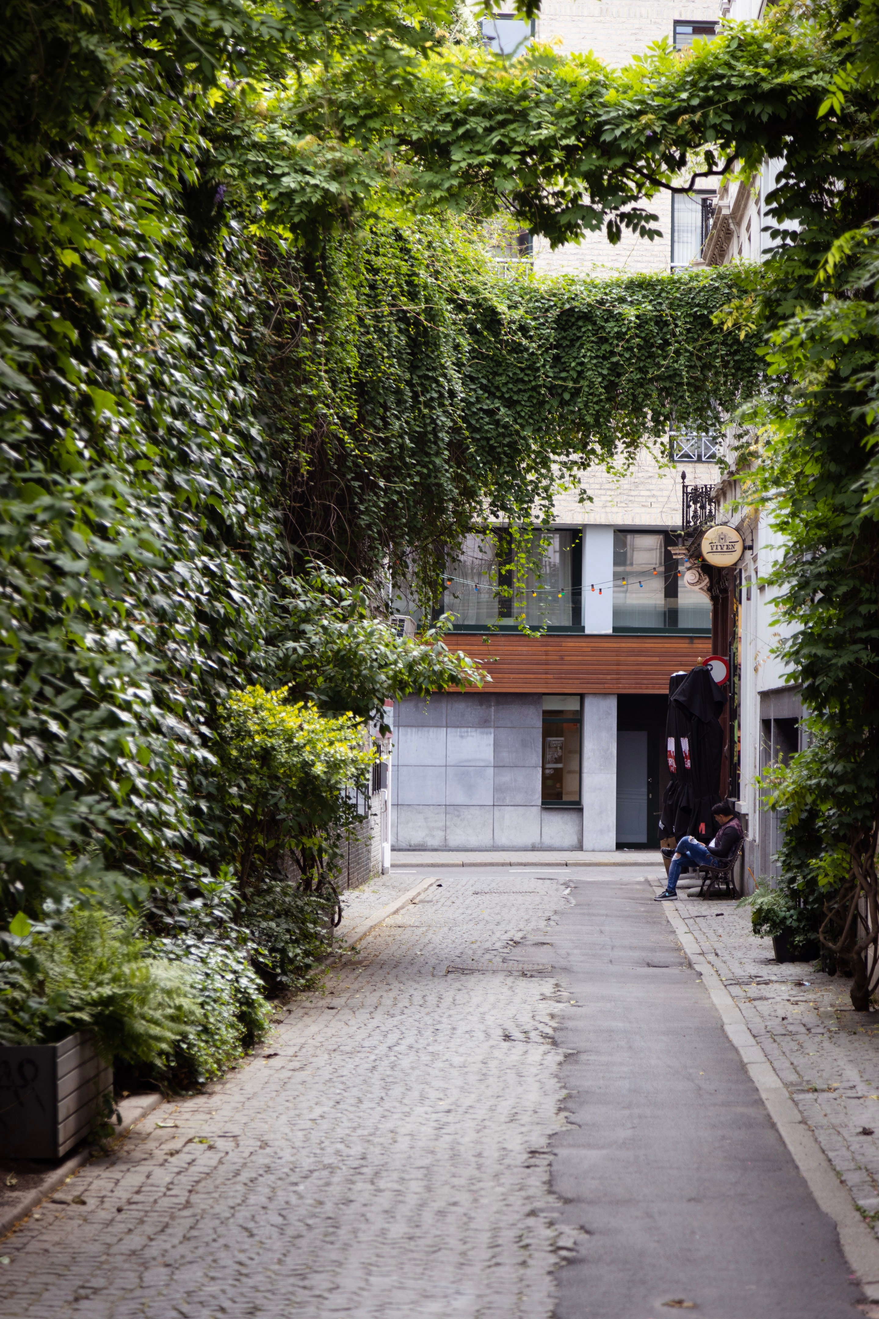 A man sits on a bench at the end of a cobbled alleyway, which is covered in a canvas of climbing ivy covered the walls and drapping down between the buildings — Antwerp City, Belgium