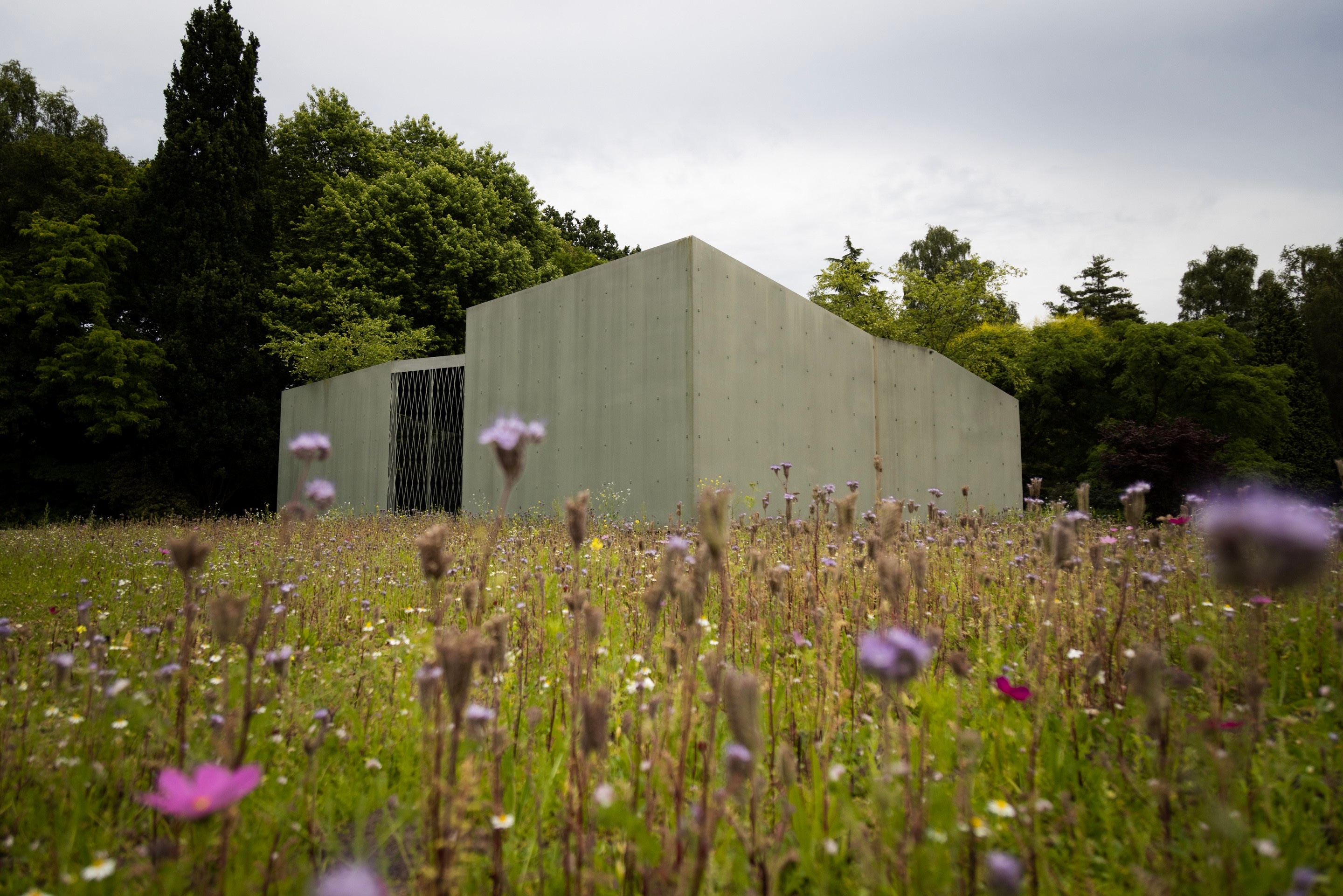 A meadow of wildflowers with a metal architectural open-air gallery building in the background — Middelheim Museum, Antwerp, Belgium