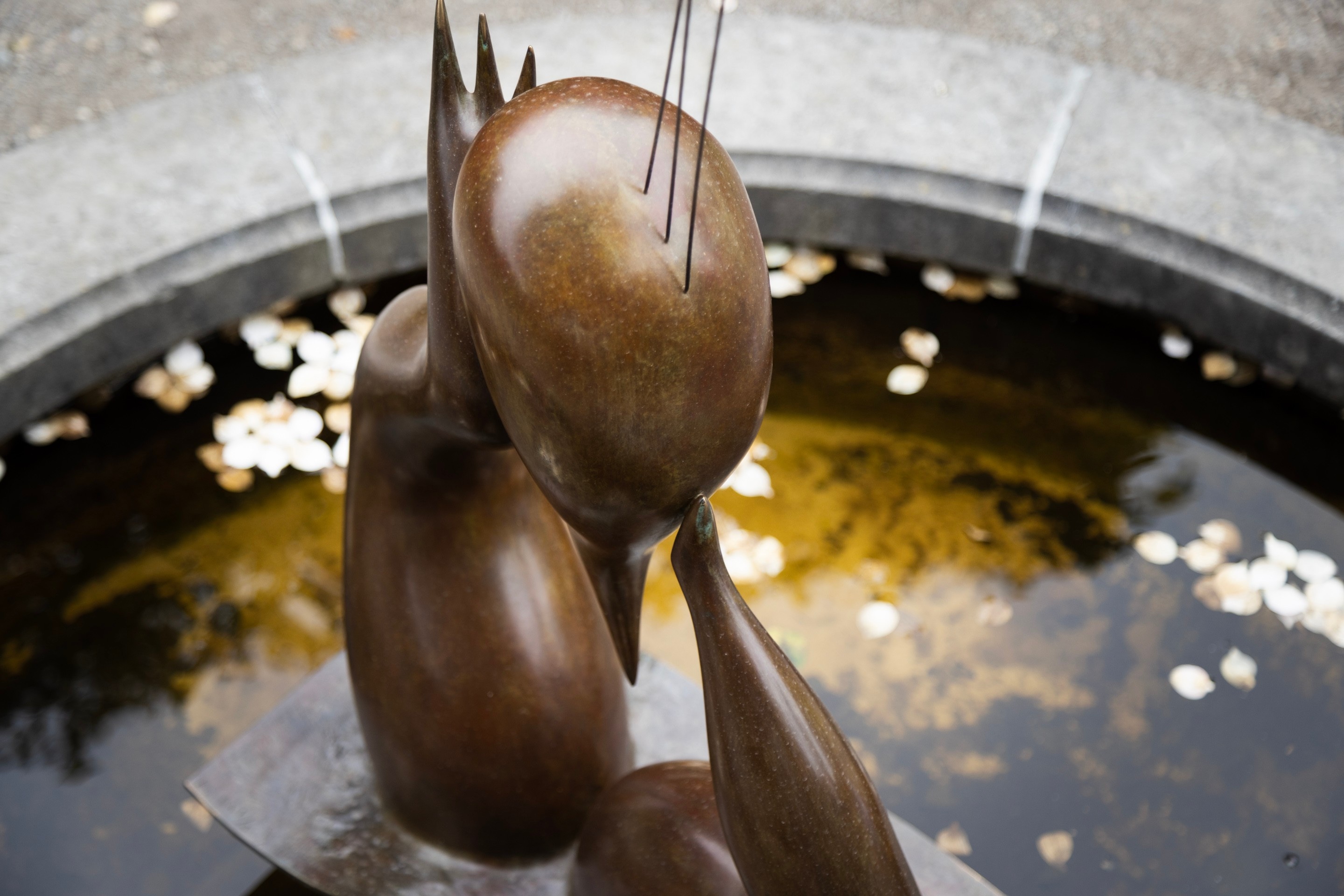 A bronze sculpture by Camille Henrot sits in a water feature with flower petals floating — Middelheim Museum, Antwerp, Belgium