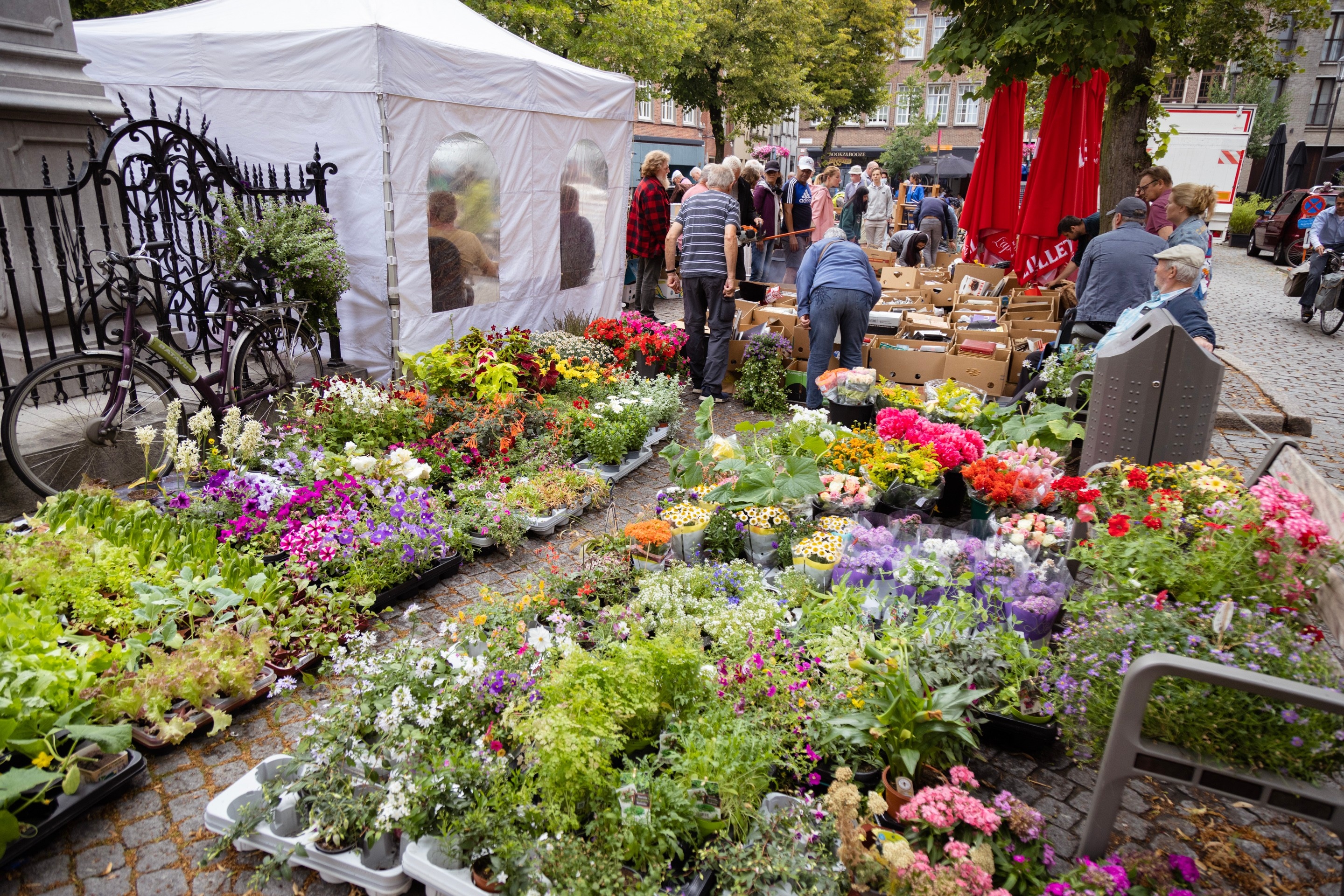 A street scene of a jumble sale and flower market — Antwerp City, Belgium