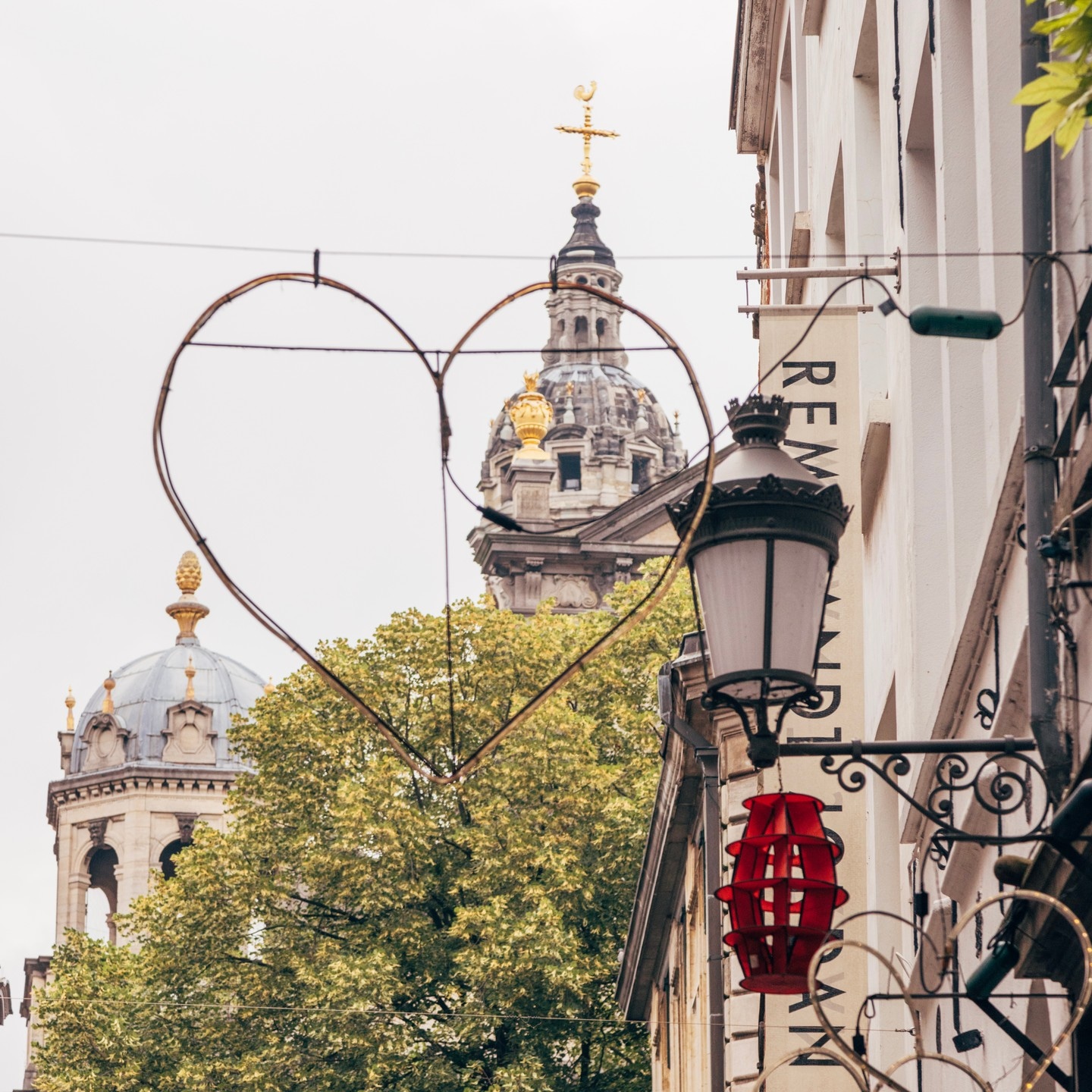 A typical street scene in Antwerp; greenery, signs and design all coming together to create city charm and small town calm — Belgium