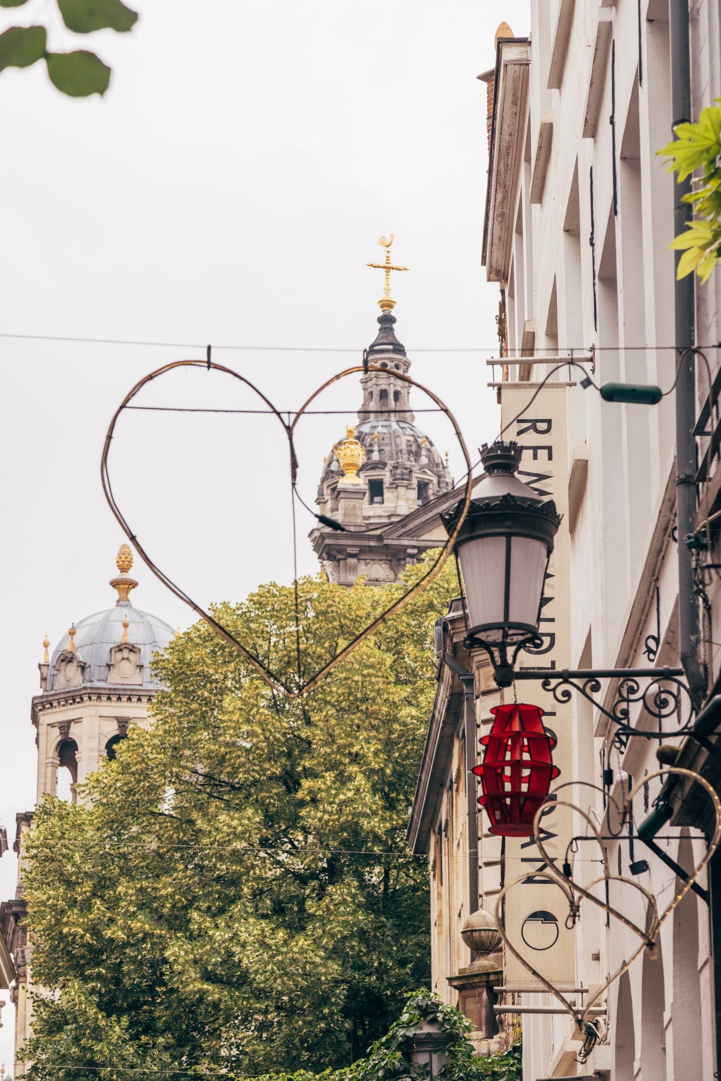 A typical street scene in Antwerp; greenery, signs and design all coming together to create city charm and small town calm — Belgium