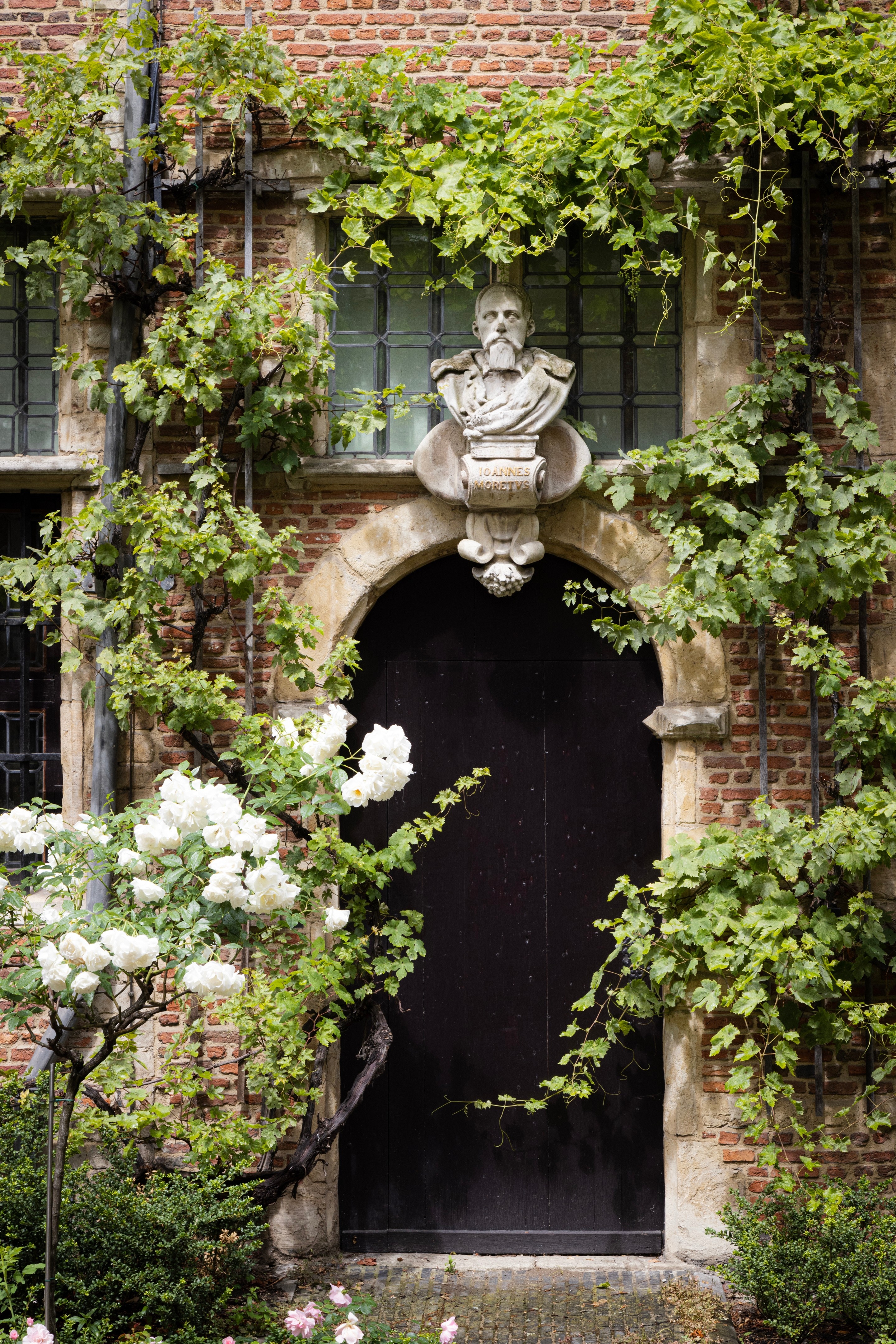 A plaster relief of Balthasar Moretus sits atop an arch above an old black garden door in a courtyard garden surrounded by grapevines and white roses — Museum Plantin-Moretus, Antwerp, Belgium 
