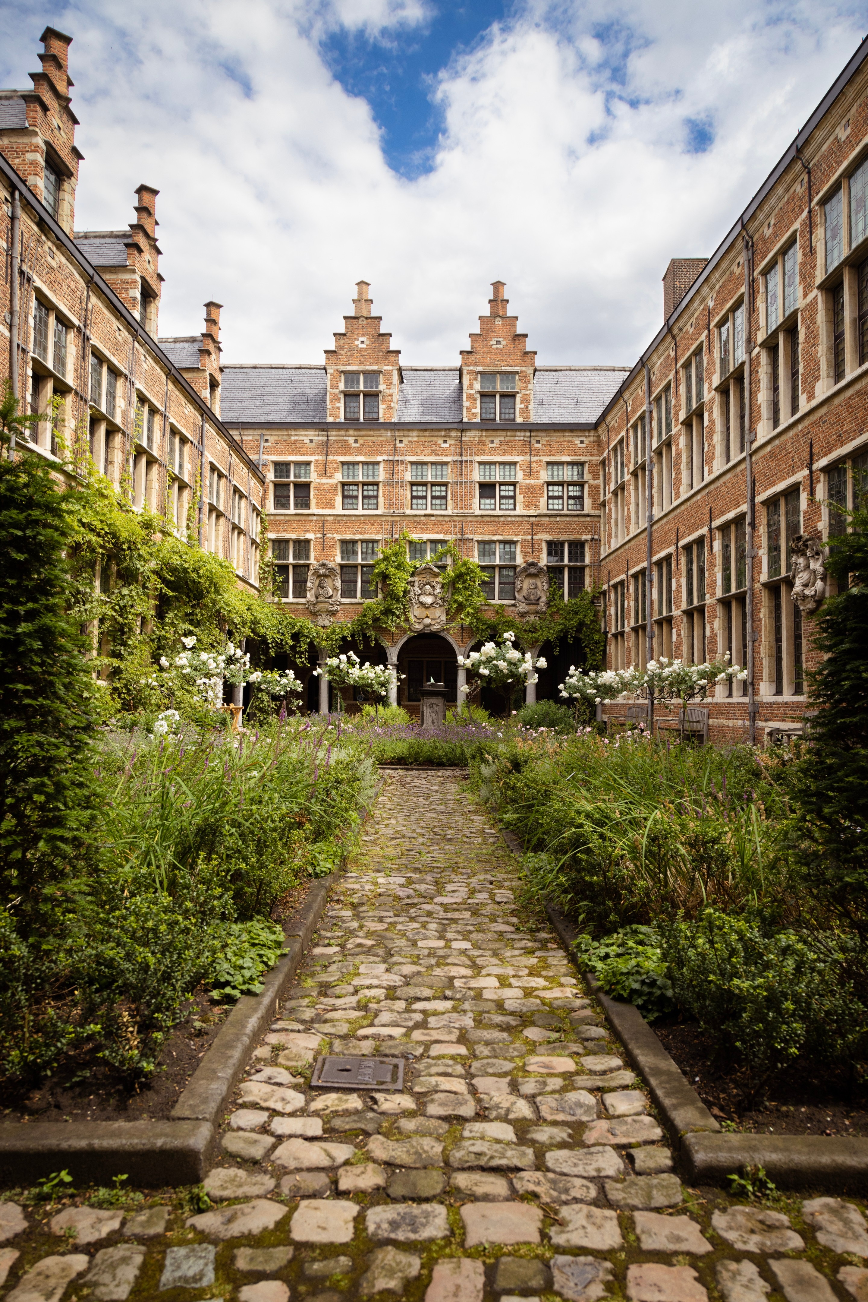 A large elegant courtyard garden, surrounded by brick walls to the left and right, and with stone arches to the back. There are many white rose trees in bloom — Museum Plantin-Moretus, Antwerp, Belgium 