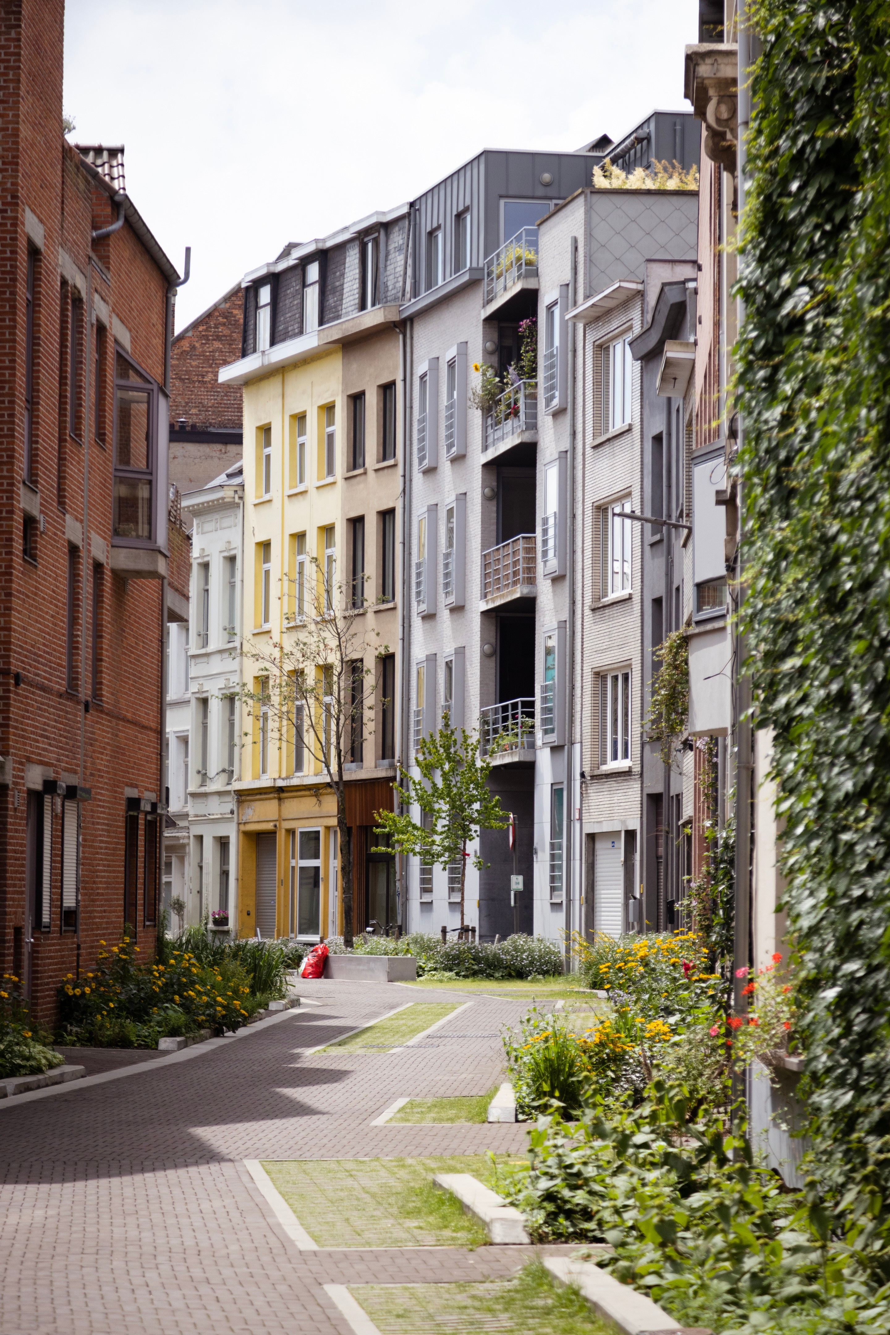 A quiet car-free street lined with neat narrow residential garden and foliage — Antwerp, Belium
