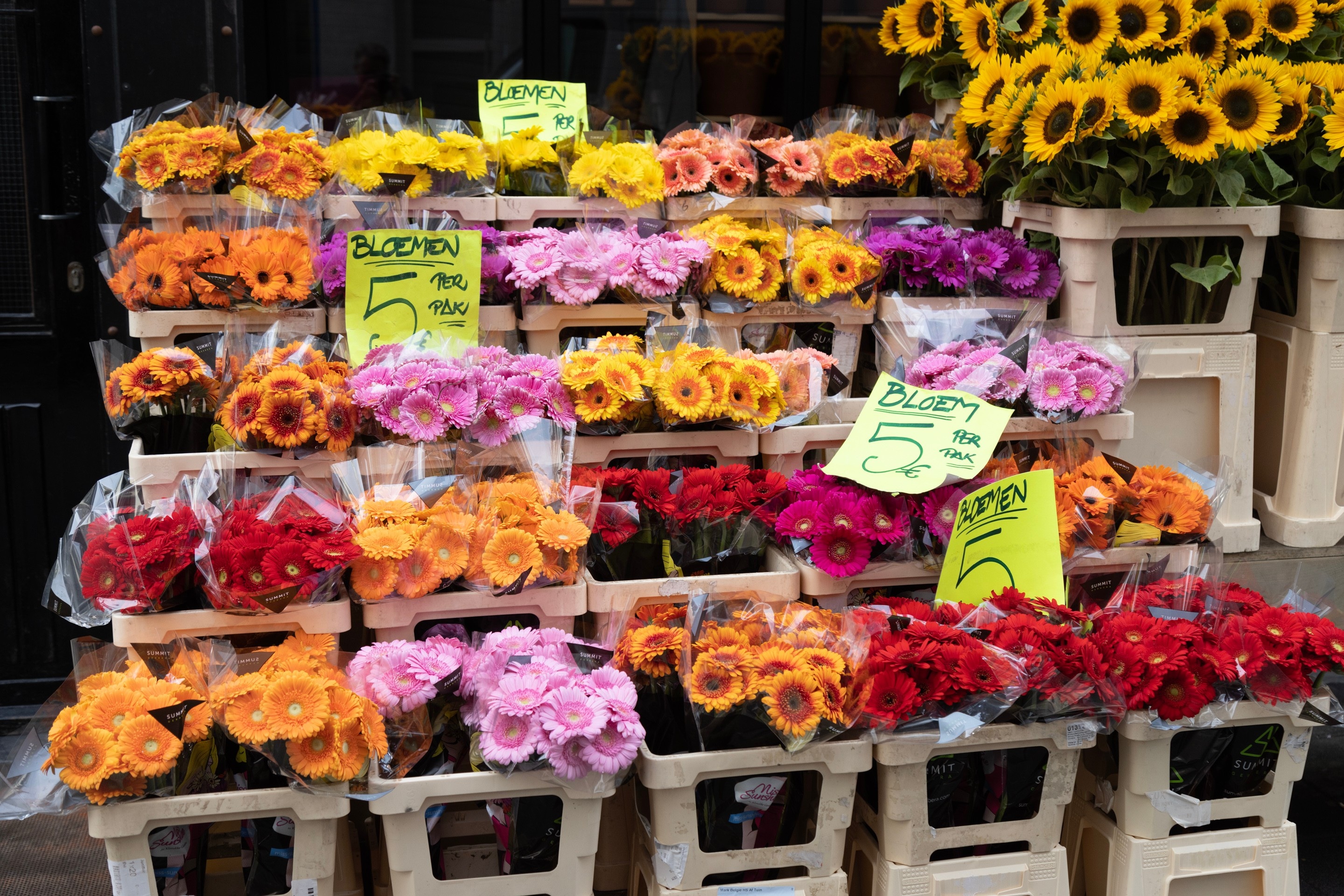 Boxes of bright pink, orange, yellow and red flowers for sale in tiers of upturned plastic stools — Antwerp City, Belgium