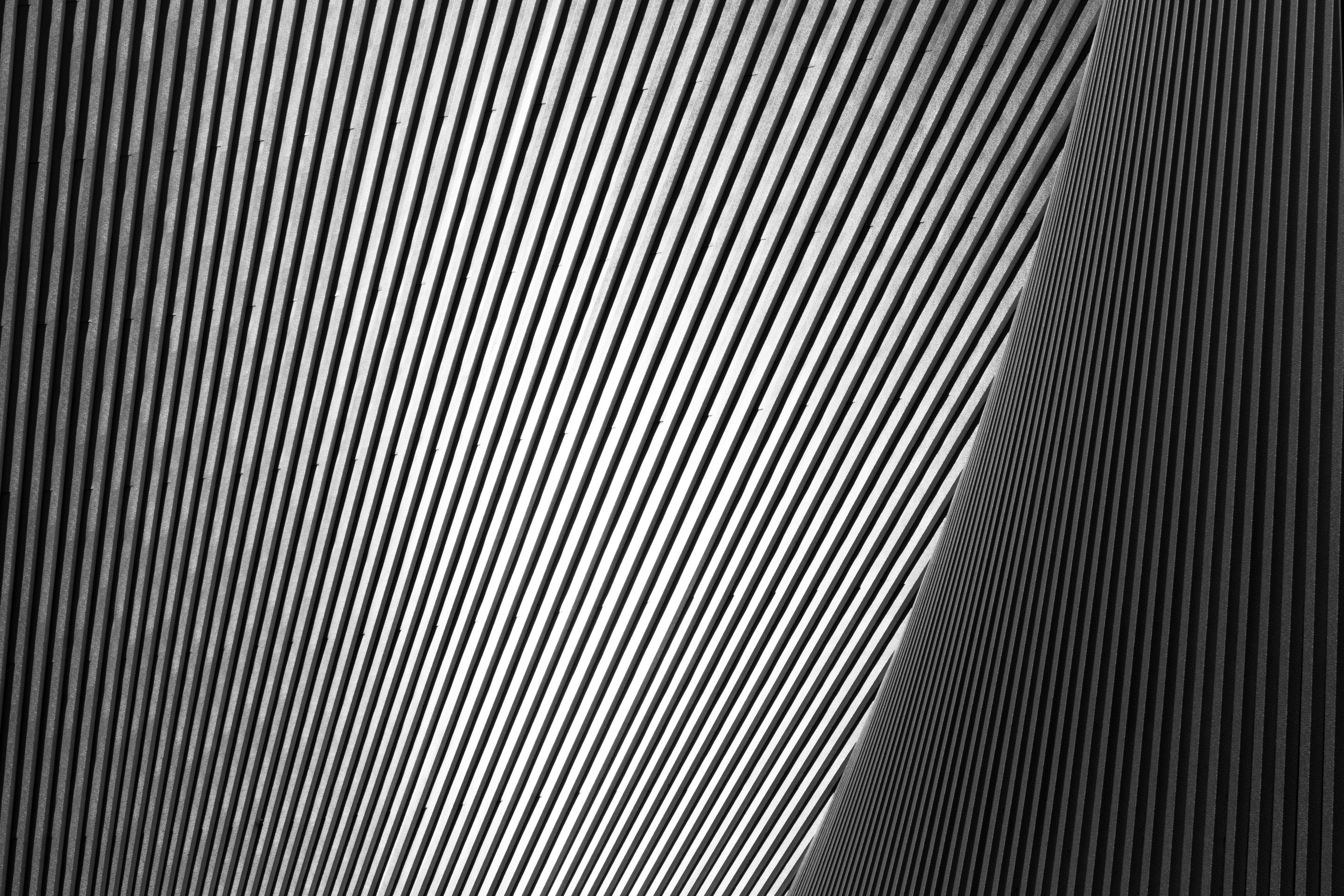 Black and white photo detailed the strong and high contrast lines that cover St Mary's Church in Tokyo, Japan
